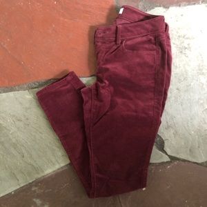 Anne Taylor LOFT Skinny Cords